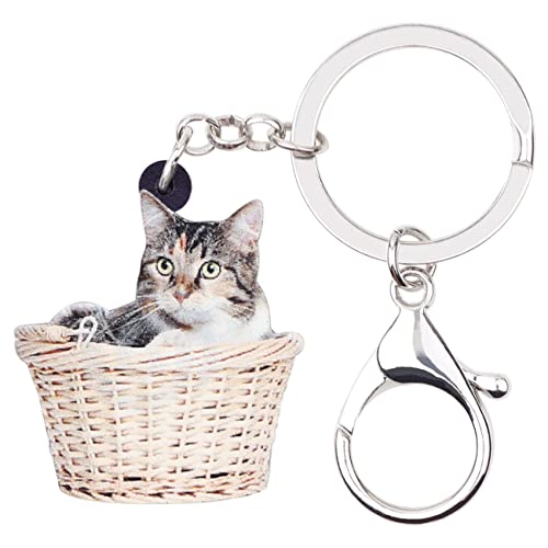 DUOWEI Cute Katze Schlüsselanhänger Acryl Haustier Cat Schlüsselring Handtasche Dekoration für Frauen Girls Charme Geschenk (Korb Katze) von DUOWEI