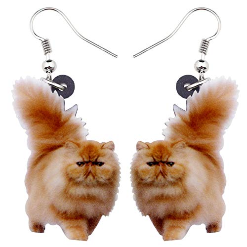 DUOWEI Niedliche Acryl-Katzen-Ohrringe für Frauen Mädchen baumeln Schmuck Geschenke (Kaffee) von DUOWEI