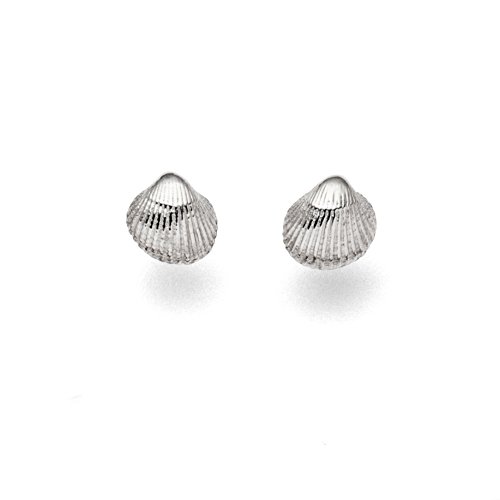 Dur Schmuck Ohrstecker MUSCHEL (ca 9mm) Silber 925/- rhodiniert (4745) von DUR