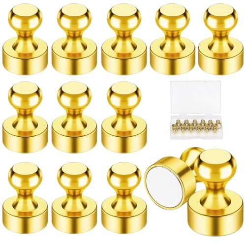 12Stück Gold Magnete für Magnettafel kleine Magnete Stark Neodym Extra Stark Magneten Halt Whiteboard Kühlschrank mit Griff Fotos Schule Gold von DWFEYOI