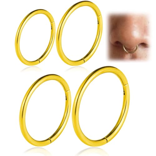 Nasenpiercing,4 stk Nasenring Nostril Septum Piercing Rings Dünn Lippenpiercing Septum Clicker Knorpel Piercing Ohr Für Damen Männer 6 mm/8 mm/10 mm/12mm von DWFEYOI