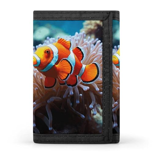 DWTJKMS Clownfisch-Geldbörse, minimalistisch, schmal, dreifach gefaltet, modern, modisch, Diebstahlschutz, für Karten und Bargeld DWTJKMS Clownfisch-Geldbörse, minimalistisch, schmal, dreifach gefaltet, modern, modisch, Diebstahlschutz, für Karten und Bargeld von DWTJKMS