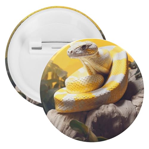 Python-Weißblech-Brosche, personalisierbar, rund, groß, geeignet für Lehrer, Krankenschwestern, Ärzte, Mitarbeiter, Party-Geschenkzubehör, 5 Stück, Kunststoff, Kunststoff von DWTJKMS