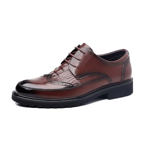 DXSYGMBN Herren Brogues Schnürhalbschuhe Klassischer Business Anzugschuhe Comfort Oxfords Hochzeit Schuhe,Braun,38 EU von DXSYGMBN