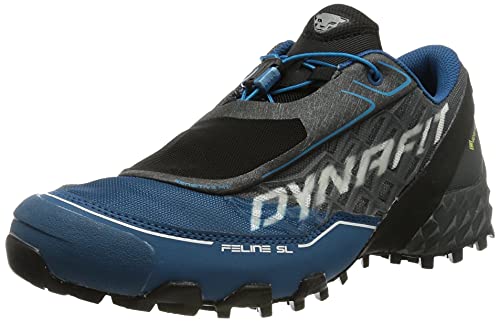 Dynafit Herren Feline SL GTX Laufschuhe, Kohlenstoff Frost, 46.5 EU von DYNAFIT