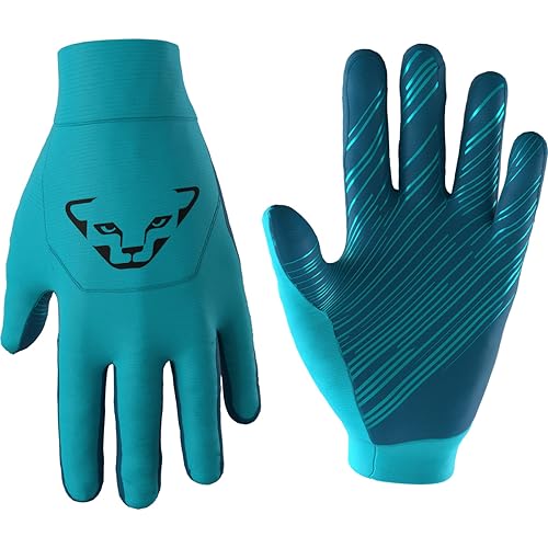 Dynafit Unisex Upcycled Thermal Gloves Handschuhe, Silber, S von DYNAFIT