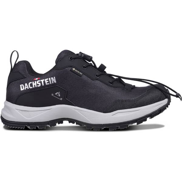 DACHSTEIN Damen Trekkingstiefel DELTA ASCENT GTX WMN von Dachstein