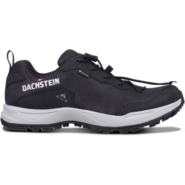 DACHSTEIN Herren Trekkinghalbschuhe DELTA ASCENT GTX von Dachstein