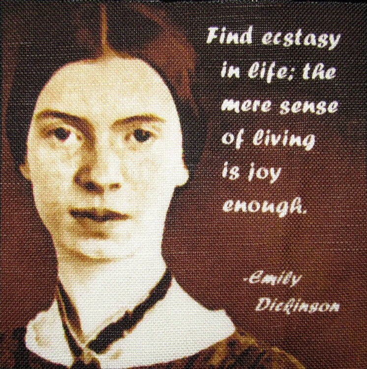 Emily Dickinson Gedruckt Zitat - Patch Sew On Weste, Tasche, Rucksack, Jacke P474 von DaddyoFattyo