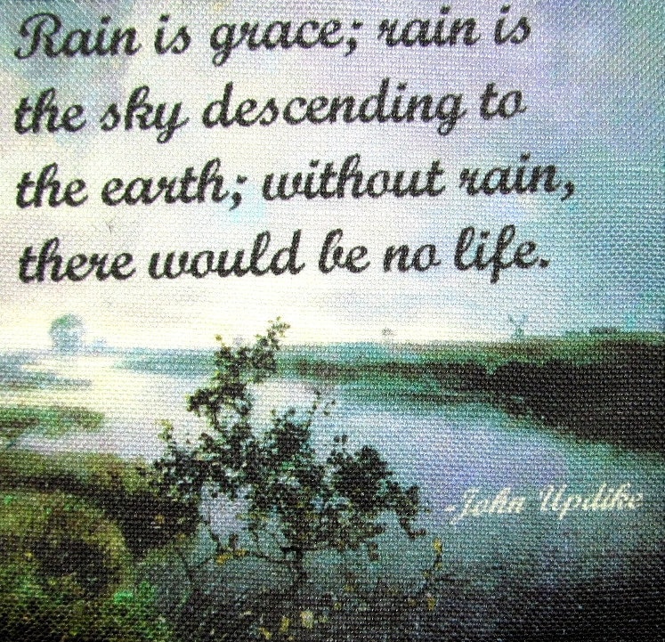 John Updike - Gedruckter Aufnäher Auf Weste, Tasche, Rucksack, Jacke P389 von DaddyoFattyo