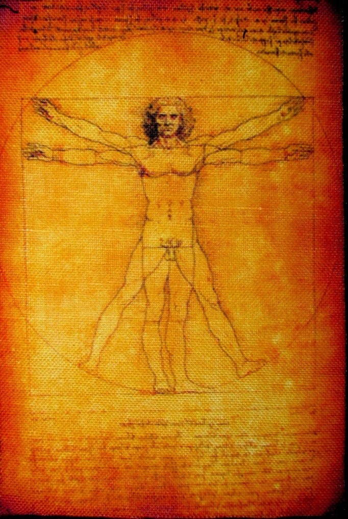 Vitruvian Man - Leonardo Da Vinci Aufnäher Aufgedruckt Medium Size -P562 von DaddyoFattyo