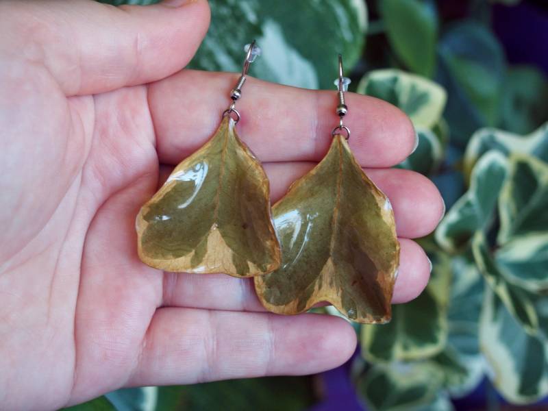 Harz Ficus Blatt Ohrringe Getrockneter Pflanzenschmuck Harz Ficus Blatt Ohrringe Getrockneter Pflanzenschmuck von DagmarStitches