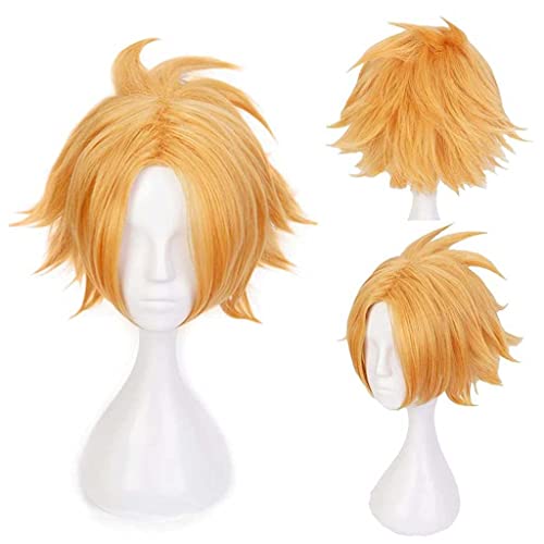 Cosplay Perücke,My Hero Academia Denki Kaminari Cosplay Perücke,Short Golden Perücke,Mit Kostenloser Perückenkappe,Halloween Kostüm Perücke,für Party Karneval Weihnachten von Dagua