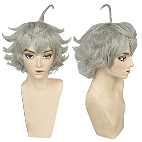 Dagua Cosplay Perücke,Black Clover Asta Cosplay Perücke,Short Fluffy Perücke,Mit Kostenloser Perückenkappe,Halloween Kostüm Perücke,für Party Karneval Weihnachten von Dagua