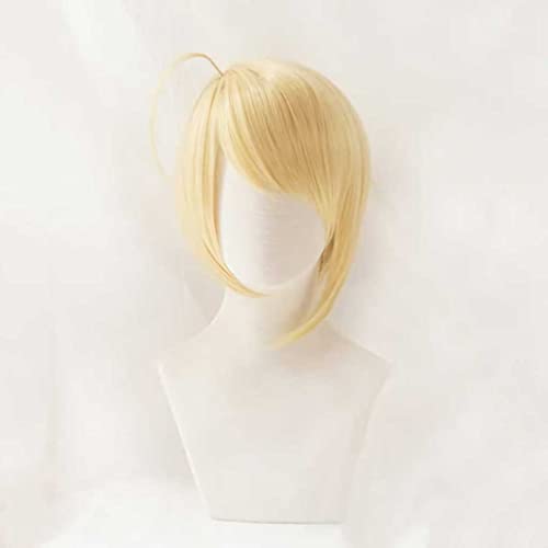 Dagua Cosplay Perücke,Shugo Chara! Hotori Tadase Cosplay Perücke,Short Blonde Perücke,Mit Kostenloser Perückenkappe,Halloween Kostüm Perücke,für Party Karneval Weihnachten von Dagua