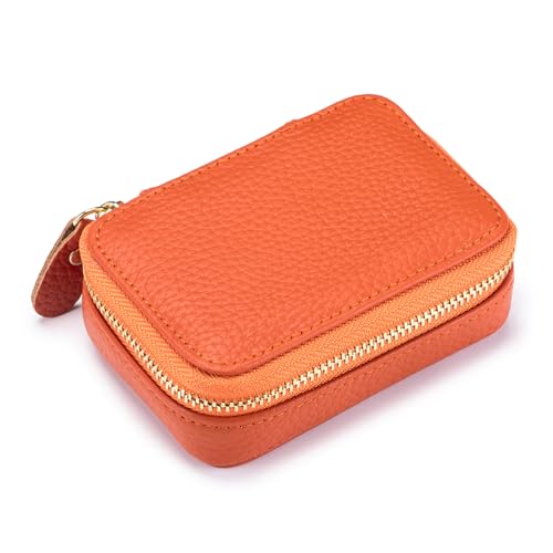 Dajingkj Kosmetiktasche Klein mit Spiegel Mini Damen Chapstick Halter Tasche Echtes Leder Kleine Reise Kopfhörer Tasche Münze Geldbörse von Dajingkj