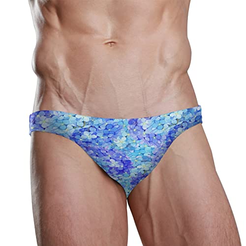 Dallonan Badehose für Herren, Bikini, Hortensien, Sommer, Strand, Athletik, Bademode für Herren, Hortensie Sommer, XXX-Large von Dallonan