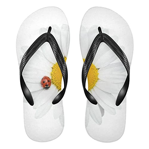 Dallonan Unisex Flip Flops Kamille Gänseblümchen Marienkäfer Gummi Zehensandalen, Kamille Daisy Marienkäfer, X-Small von Dallonan