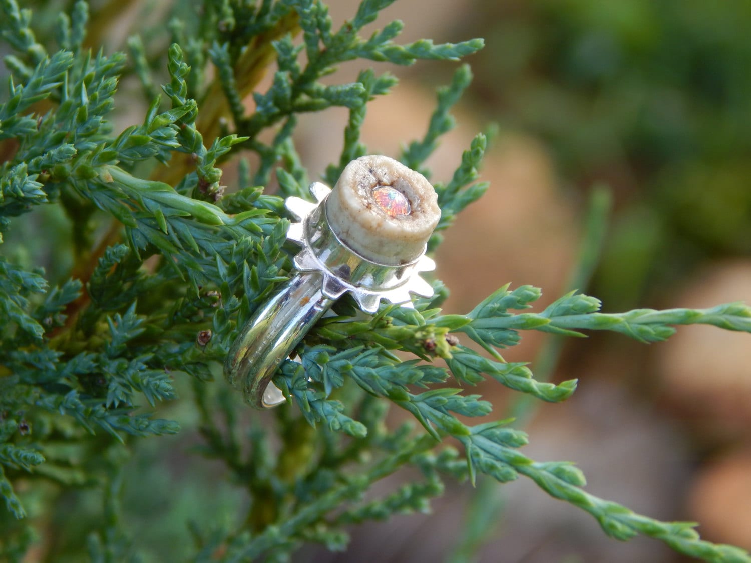 Crinoid Fossil Ring Crinoid Fossil Ring von DancingMantisJewelry
