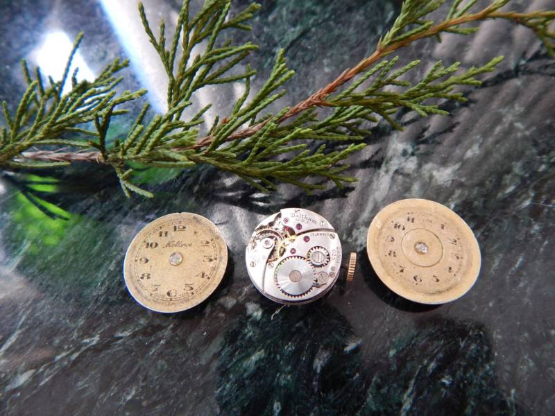Waltham & Helbros Vintage Uhr Knopfabdeckungs-Set von DancingMantisJewelry