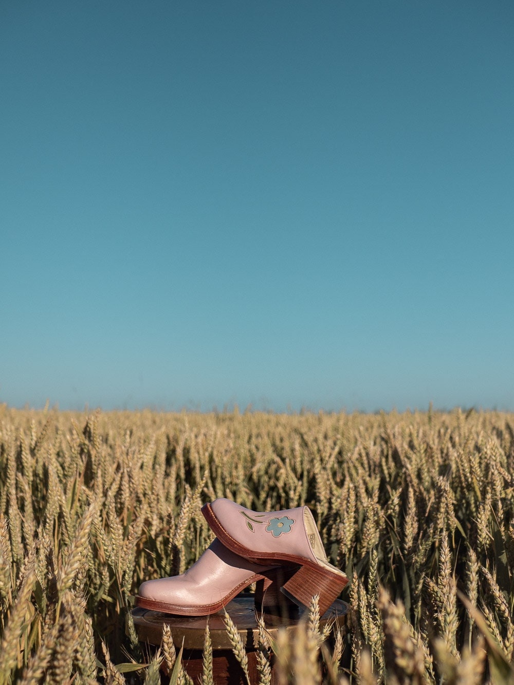 Blumen Clogs Rosa von Dandelie