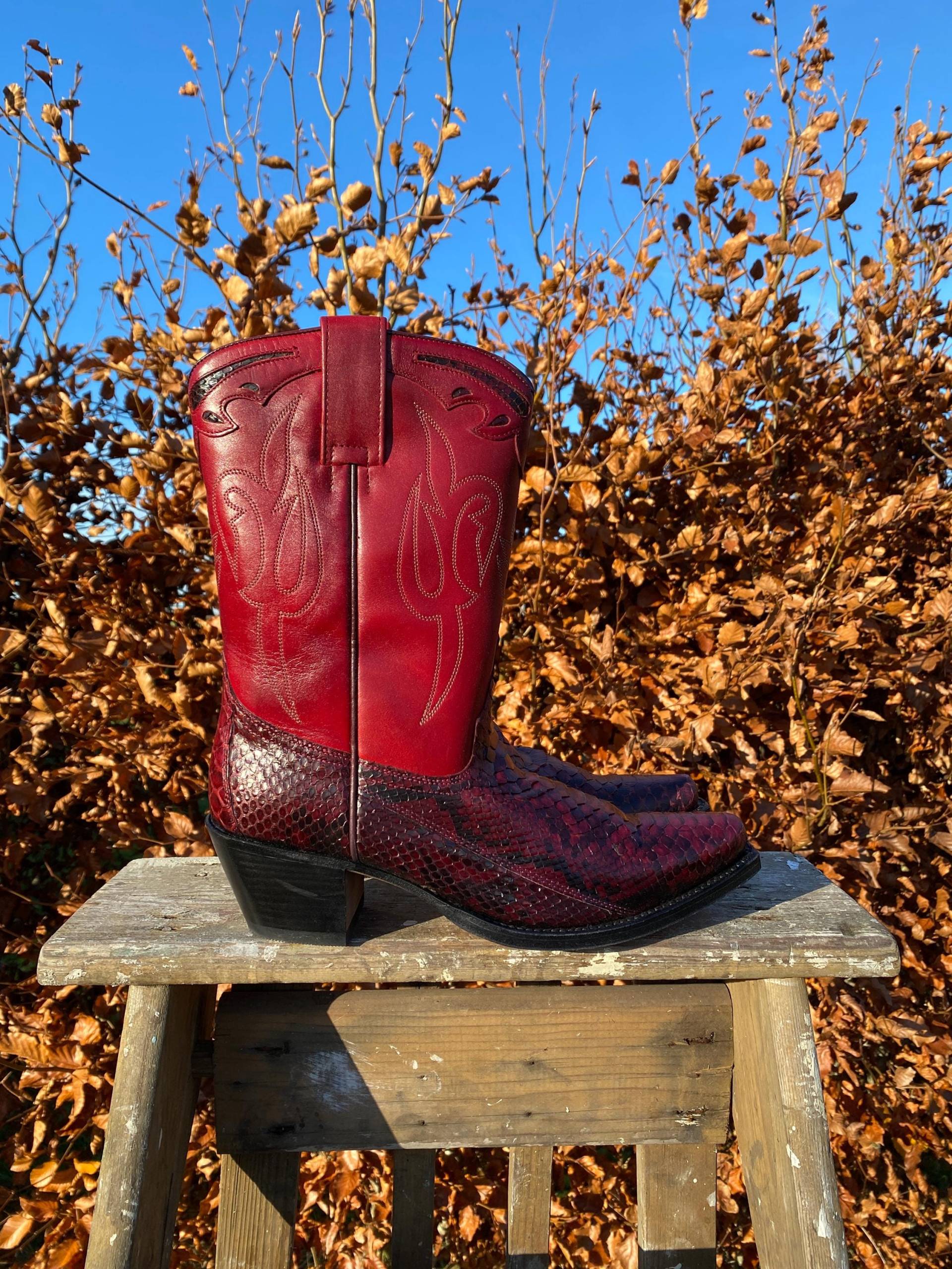Python-Rote Stiefeletten - Deadstock von Dandelie