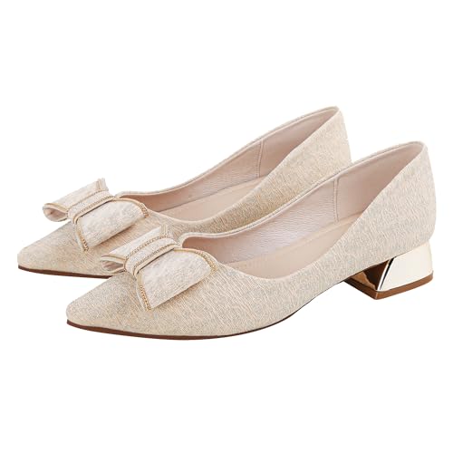 Damen-Arbeitspumps, niedriger Blockabsatz, spitzer Zehenbereich, geschlossener Zehenbereich, bequeme Schuhe für Damen, Aprikose/Glitzer, 41.5 EU von Danglianying