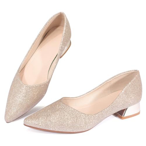 Damen-Arbeitspumps, niedriger Blockabsatz, spitzer Zehenbereich, geschlossener Zehenbereich, bequeme Schuhe für Damen, Gold/Glitter, 41 EU von Danglianying