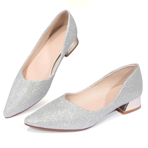 Damen-Arbeitspumps, niedriger Blockabsatz, spitzer Zehenbereich, geschlossener Zehenbereich, bequeme Schuhe für Damen, Silber/Glitzer, 42 EU von Danglianying