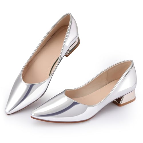 Damen-Pumps mit geschlossenem Zehenbereich, niedriger Blockabsatz, Arbeitspumps, bequemes Kleid, Hochzeitsschuhe für Party, Büro, 1 Silber/PU, 4 von Danglianying