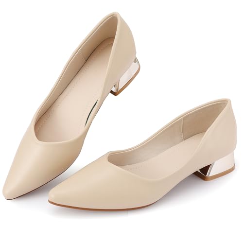 Damen-Pumps mit geschlossenem Zehenbereich, niedriger Blockabsatz, Arbeitspumps, bequemes Kleid, Hochzeitsschuhe für Party, Büro, Nude/Pu, 41.5 EU von Danglianying