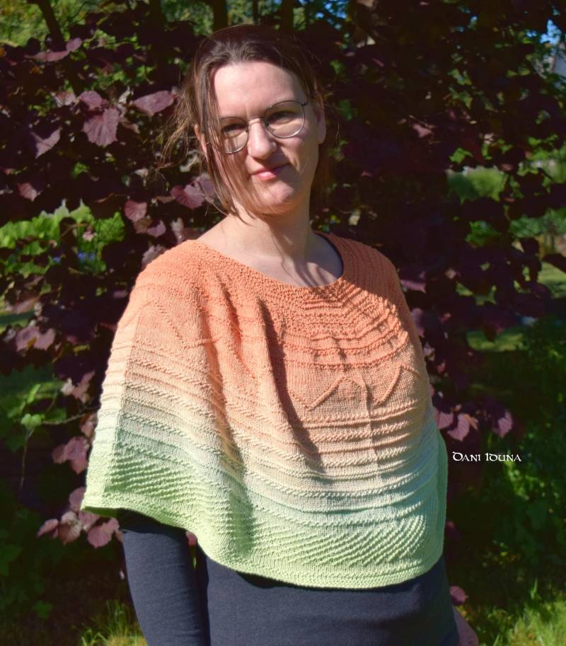 Kurzponcho in Bunten Farben, Schulterwärmer Und -Schmeichler Kurzponcho in Bunten Farben, Schulterwärmer Und -Schmeichler von DaniIduna