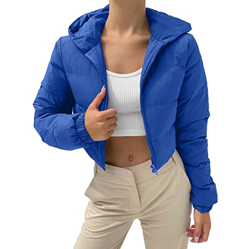 Damen Puffer Jacke Kurz Winterjacke mit Kapuze Winter Warm Steppjacke Gesteppte Dicke Daunenjacke Cropped Jacke Mode Bauchfrei Kapuzenjacke Übergangsjacke Einfarbig Baumwolljacke von Dantazz