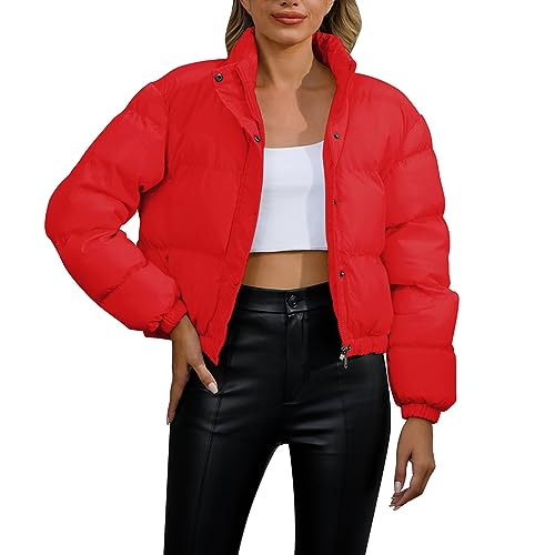 Puffer Jacke Damen Kurz Stehkragen Steppjacke Winter Warm Daunenjacke Kurzjacke Gesteppte Dicke Winterjacke Lässige Cropped Übergangs Jacke Outdoor Langarm Baumwolljacke Streetwear von Dantazz