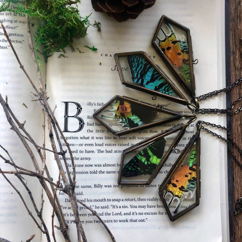 Konservierte Madagaskar Sunset Moth Anhänger - Insekt Medaillon Boho Schmetterling Halskette Konservierte Madagaskar Sunset Moth Anhänger - Insekt Medaillon Boho Schmetterling Halskette von DarkForestWorkshop