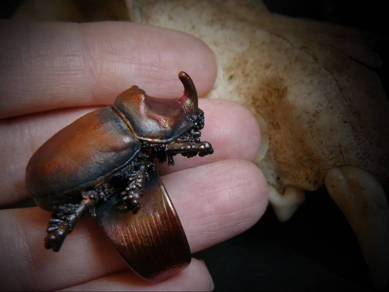 Elektrogeformter Nashornkäfer Ring Natürlicher Insekten Schmuck Elektrogeformter Nashornkäfer Ring Natürlicher Insekten Schmuck von DarkSideMagic