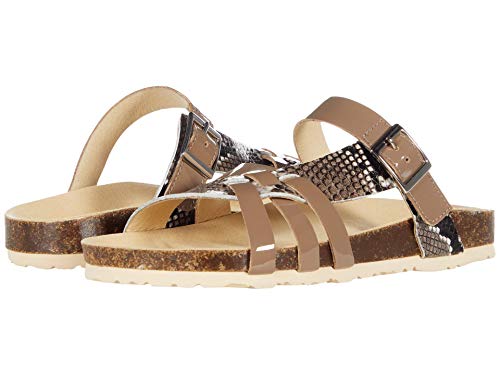 David Tate Warm Camel 7.5 W (D) von David Tate