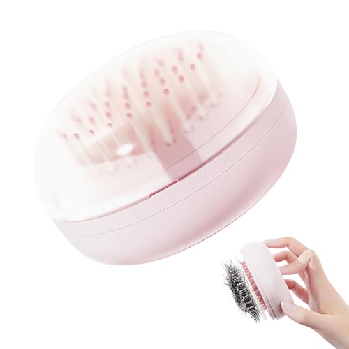 Dayinkes selbstreinigende Haarbürste für Frauen, tragbare einziehbare Haarbürste mit einem Klick, Mini-Haarbürste mit Spiegel, Kopfhaut-Massagekamm mit Selbstreinigung, eleskopischer Kontrollkamm von Dayinkes