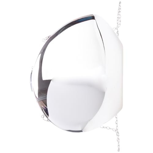 Ddujbtp Glitzernde Acryl-Umhängetasche, einzigartige Form, Abendtasche, modische Umhängetasche, Handtasche, für Damen und Mädchen, silber, Taschen-Organizer von Ddujbtp