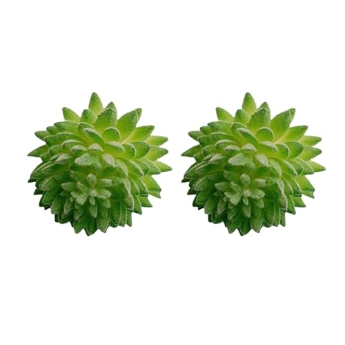Künstliche Aloe-Ohrringe, grüne Aloe-Ohrringe, Harz-Ohrstecker, Verzierung für Damen, künstlerisch Künstliche Aloe-Ohrringe, grüne Aloe-Ohrringe, Harz-Ohrstecker, Verzierung für Damen, künstlerisch von Ddujbtp