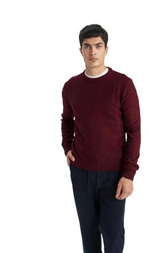 DeFacto Herren Pullover - Stilvolle an Rollkragenpullover - Strickjacken & Strickpullover für Herren - Pullover und Strickjacken für jeden von DeFacto