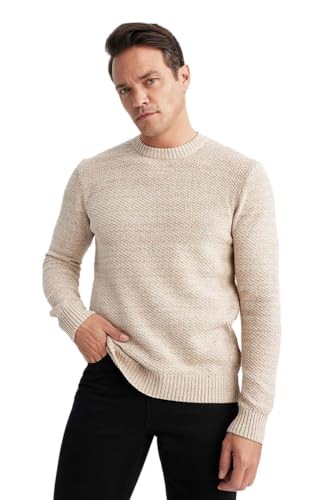 DeFacto Herren Pullover & Strickjacken - Vielseitige Pullover für Herren Standart Fit Crew Neck von DeFacto