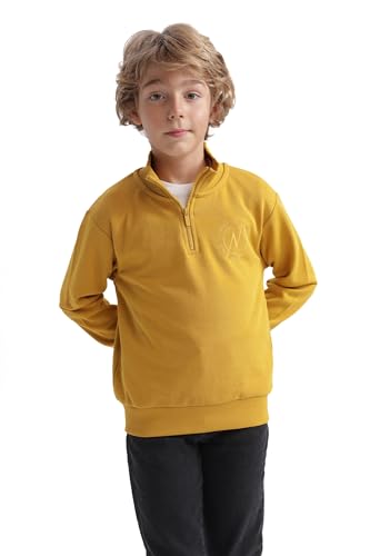 DeFacto Hoodie Jungen - Jungen Kapuzenpullover New Regular Fit Half Turtle Neck von DeFacto