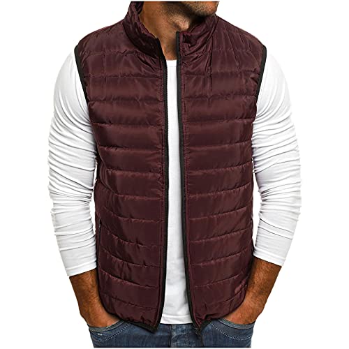 DeHolifer Leichte Steppweste Armellose Weste Herren Outdoor Stilvoll Daunenweste mit Tasche Winter Weste Herren Große Größen Streetwear Bodywarmer Fleeceweste Arbeitsweste Winterweste von DeHolifer