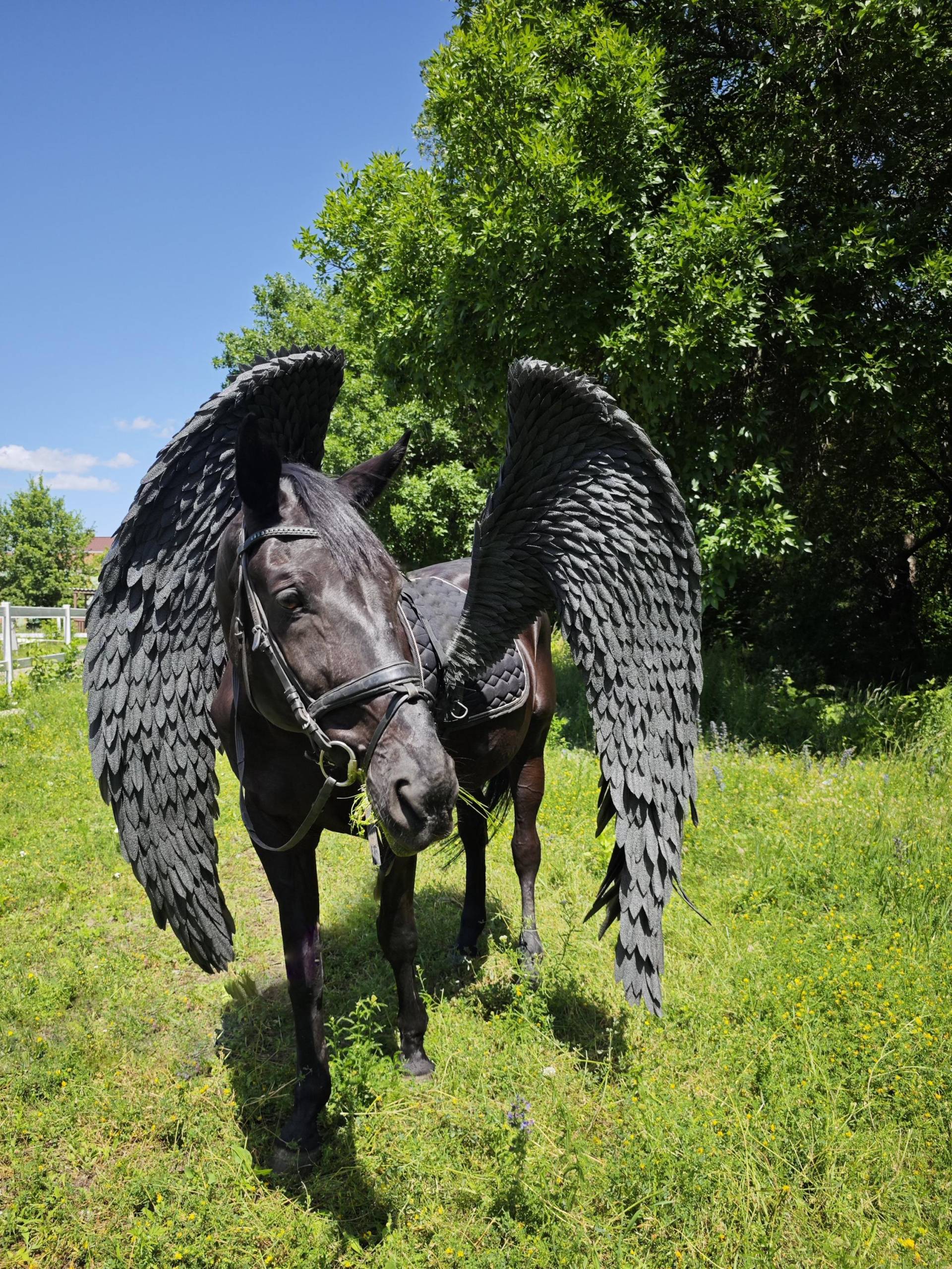 Pferdeflügel, Pegasusflügel, Pferde-Cosplay, Drachenflügel Für Pferd, Pferdekostüm Den Pferdetag, Reiterflügel Pferdeflügel, Pegasusflügel, Pferde-Cosplay, Drachenflügel Für Pferd, Pferdekostüm Den Pferdetag, Reiterflügel von DeYuDecor