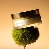 DearIrean - Fragrance Body Scrub - The Forest #The Forest - 225g DearIrean - Fragrance Body Scrub - The Forest #The Forest - 225g von DearIrean