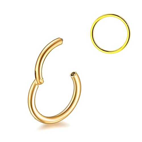 Decentraland 1 STÜCK 14G Gold Durchmesser 12mm Septum Scharnier Nasenring Tragus Orbitalknorpel Schmuck 316L Edelstahl Hypoallergen Ohrring Conch Ring Piercing Schmuck für Frauen und Männer von Decentraland