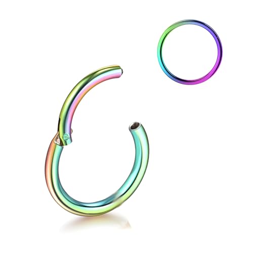 Decentraland 1 STÜCK 16G Regenbogen Durchmesser 6mm Septum Scharnier Nasenring Tragus Orbitalknorpel Schmuck 316L Edelstahl Hypoallergen Ohrring Conch Ring Piercing Schmuck für Frauen und Männer von Decentraland