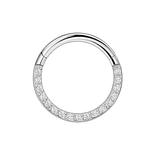 Decentraland 1 Stück 16G Silber Durchmesser 10 mm 316L Edelstahl Nasensegmentringe Hoop mit Zirkon Scharnier Septum Clicker Ring Helix Knorpel Tragus Piercing Schmuck für Frauen und Männer von Decentraland