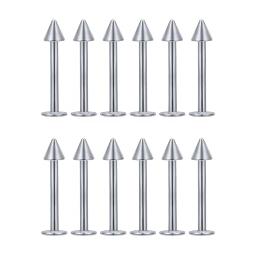 Decentraland 12 Stück Silber Farbiger Spitzkegel 10 mm Nasenstecker aus Chirurgenstahl/Titan für Damen-Nasenloch-Piercing-Schmuck/Spike-Nasenstecker/Labret-Stecker 16 g von Decentraland